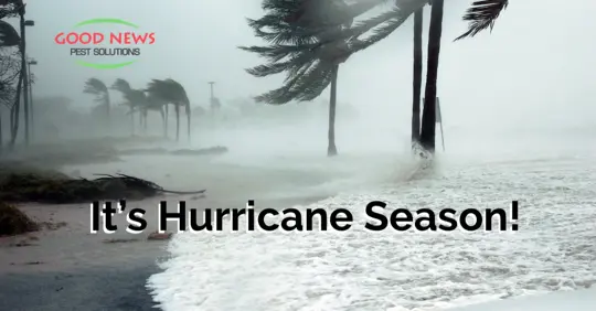 Hurricane on beach