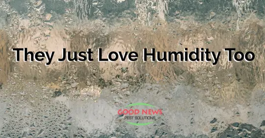 Humidity on glass