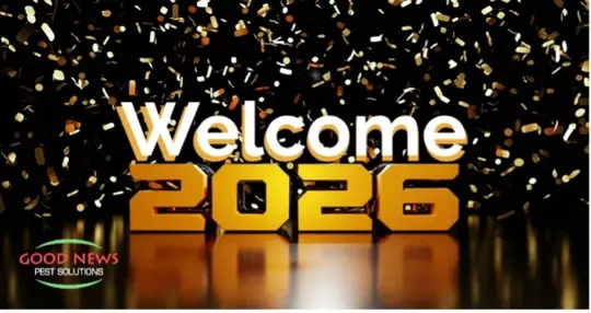 Welcome 2026!