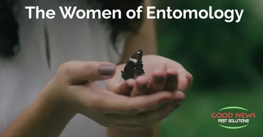 Woman holding butterfly