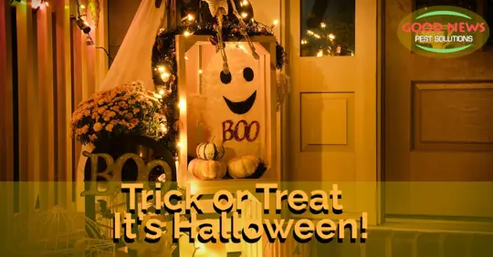 Halloween doorstep