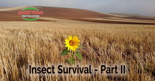 Insect Survival, Part II