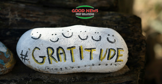 Thankfulness - Part Two