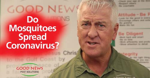 A thumbnail for a video is a screen capture of a man speaking.