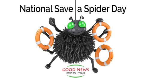 a friendly cartoon spider holding three life preservers