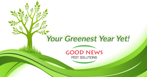 Your Greenest Year Yet!