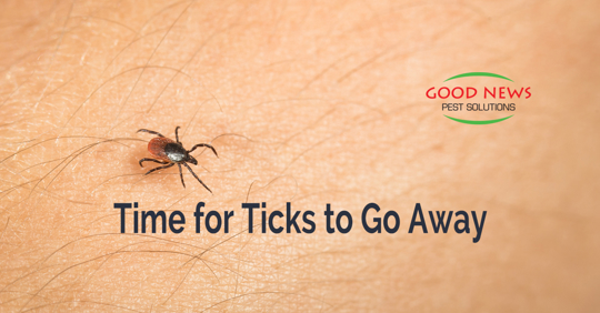 tick on skin