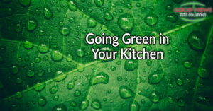 Going Green In Your Kitchen
