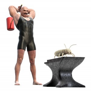 Strongman holding a sledgehammer next to an anvil