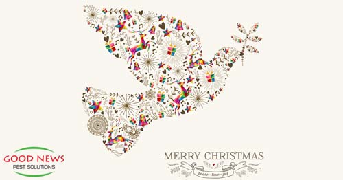 Christmas greeting art with a dove formed of various floral and festive images and holding an olive branch.