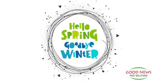 A graphic with "Hello Spring, Goodbye Winter" text inside a circle of lines.