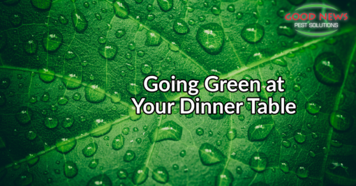 Going Green at Your Dinner Table