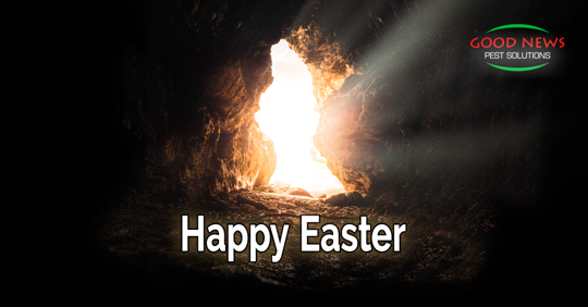 Happy Easter!