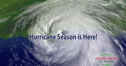 Hurricane Season is Here