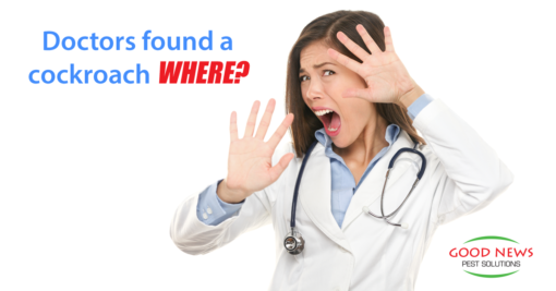 Doctors Found a Cockroach Where?