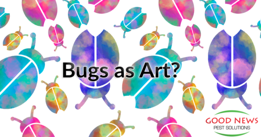 Bugs as Art?