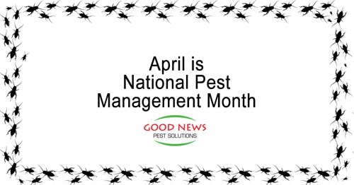 April is National Pest Management Month