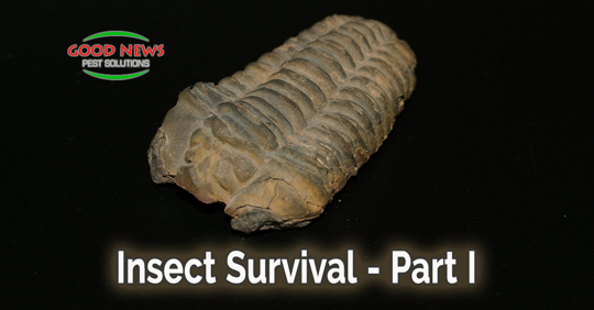 Insect Survival - Part I