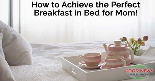 Breakfast in bed for Mother's Day