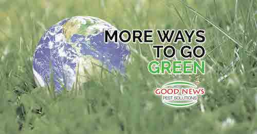 A green-themed image, likely intended to advertise a brand's green initiatives or earth-friendly products.