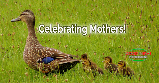 Celebrating Mothers!