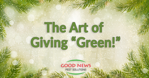 The Art of Giving “Green”