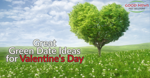 Great Green Date Ideas for Valentine's Day