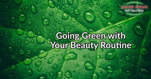 Going Green with Your Beauty Routine
