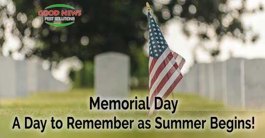 Memorial Day - A Day to Remember as Summer Begins!