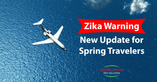 Zika Warning, New Update for Spring Travelers