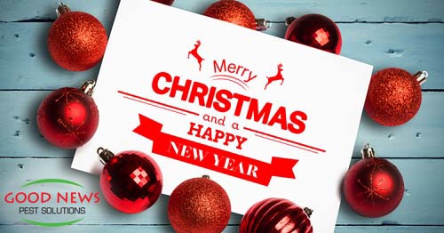 Merry Christmas and Happy New Year