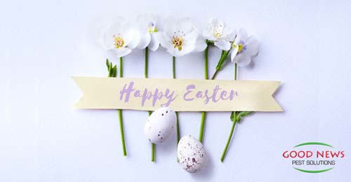 easter eggs and flowers