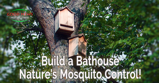 Build a Bathouse - Nature's Mosquito Control!