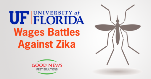 University of Florida Wages Battles Against Zika