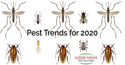 Illustrative graphics highlight featuring mosquitoes, ants, flies, cockroaches, termites, and ticks,