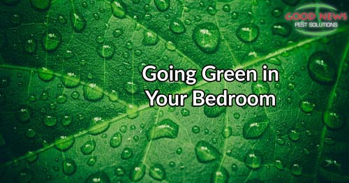 Going Green in Your Bedroom