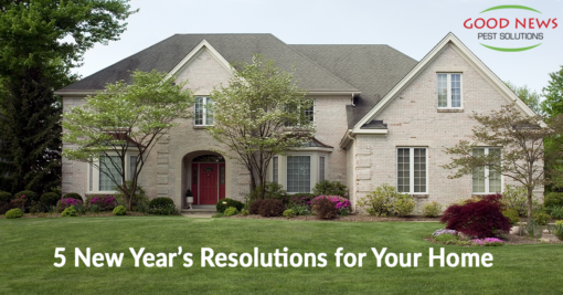5 New Year’s Resolutions For Your Home