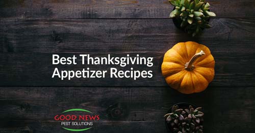 Best Thanksgiving Appetizer Recipes