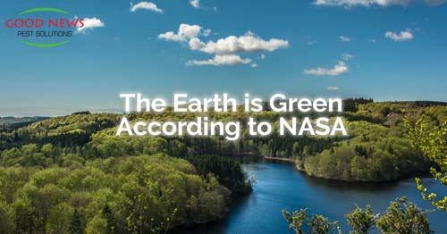 The earth is green according to NASA