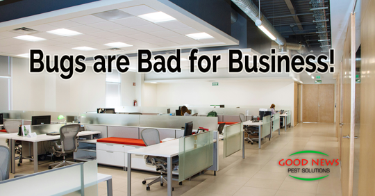 Bugs Are Bad for Business!