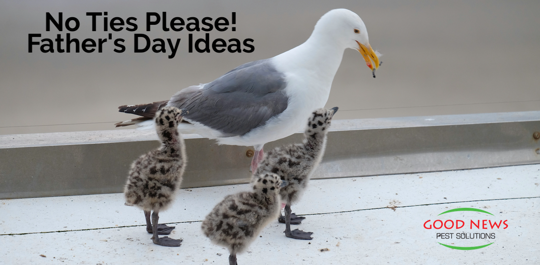 No Ties Please! Father's Day Ideas