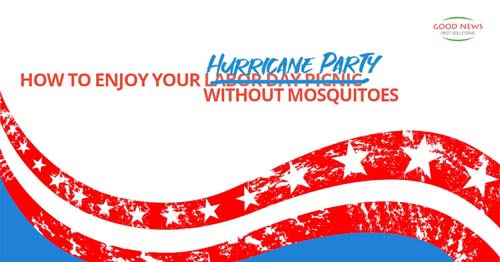 The promotional image is from a website about mosquito control.