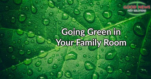 Going Green in Your Family Room