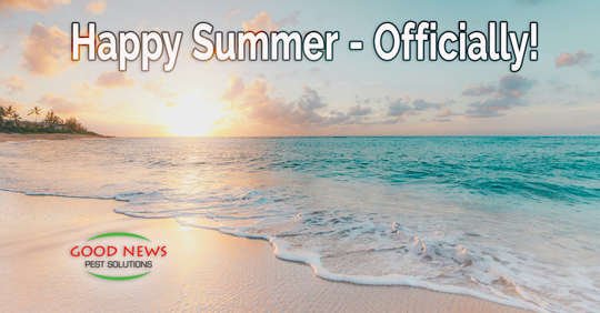 Happy Summer - Officially!