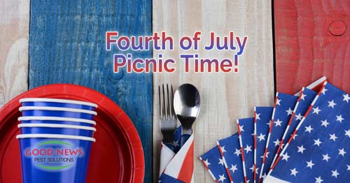 A Fourth of July holiday image shows picnicware