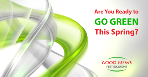 Are You Ready to GO GREEN This Spring?