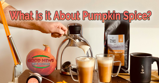 What Is It About Pumpkin Spice?