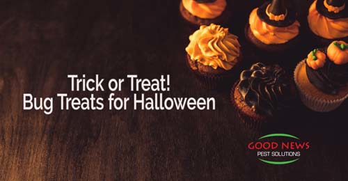 Tirck or treat cookies