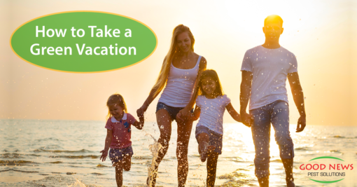How to Take a Green Vacation
