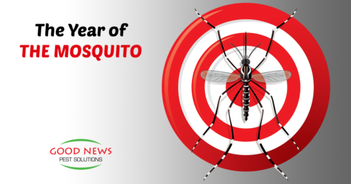 The Year of the Mosquito